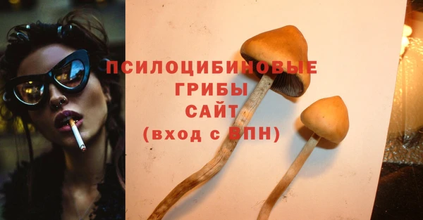 дмт Зеленодольск