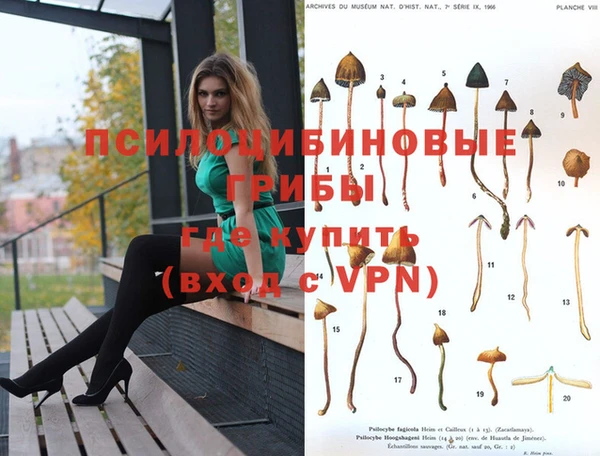 бутик Зеленокумск