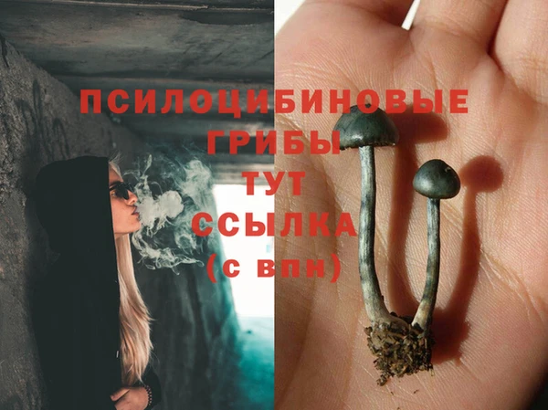 ПСИЛОЦИБИНОВЫЕ ГРИБЫ Зерноград