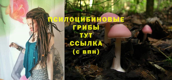 дмт Зеленодольск