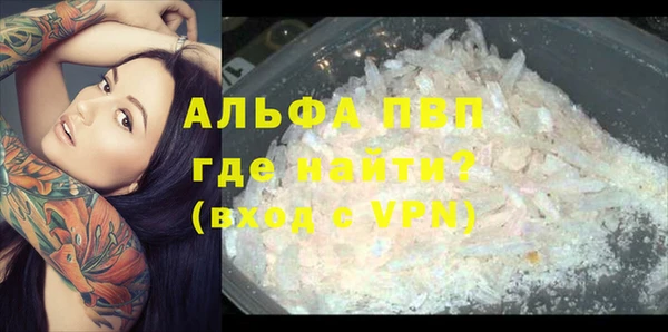 ПСИЛОЦИБИНОВЫЕ ГРИБЫ Зерноград