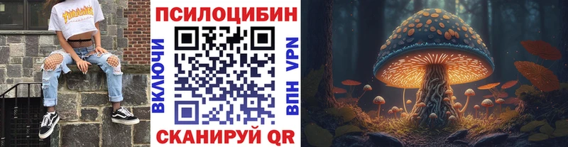 купить наркотики сайты  blacksprut tor  Галлюциногенные грибы мицелий  Ревда 